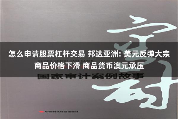 怎么申请股票杠杆交易 邦达亚洲: 美元反弹大宗商品价格下滑 商品货币澳元承压