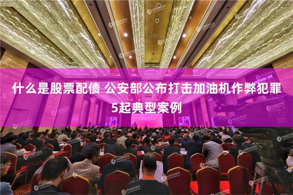 什么是股票配债 公安部公布打击加油机作弊犯罪5起典型案例