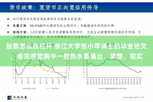 股票怎么放杠杆 浙江大学张小苹博士的毕业论文，看完感觉胸中一腔热水要涌出，梦想，现实