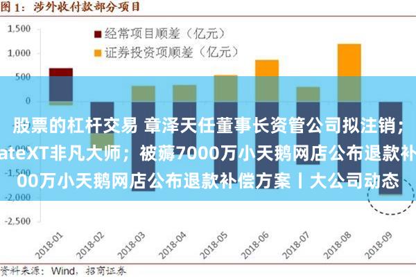 股票的杠杆交易 章泽天任董事长资管公司拟注销；华为三折手机命名MateXT非凡大师；被薅7000万小天鹅网店公布退款补偿方案丨大公司动态