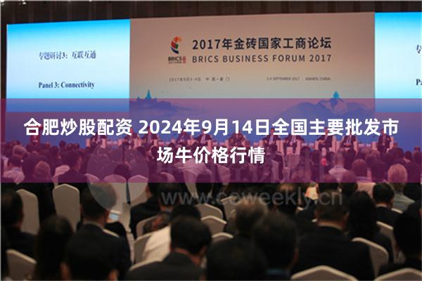 合肥炒股配资 2024年9月14日全国主要批发市场牛价格行情