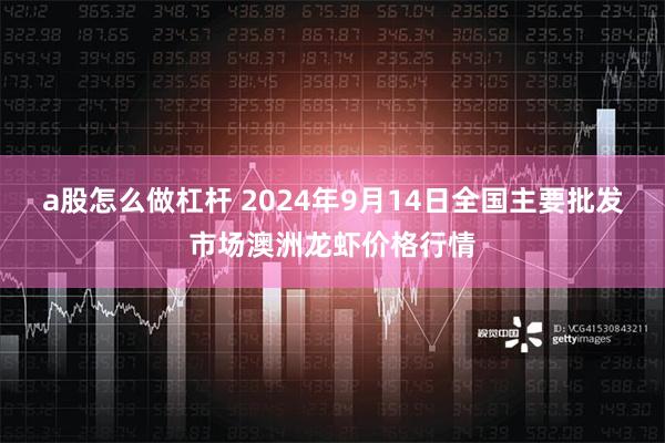 a股怎么做杠杆 2024年9月14日全国主要批发市场澳洲龙虾价格行情