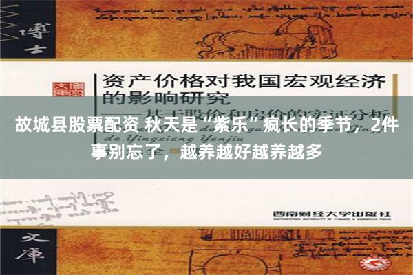 故城县股票配资 秋天是“紫乐”疯长的季节，2件事别忘了，越养越好越养越多