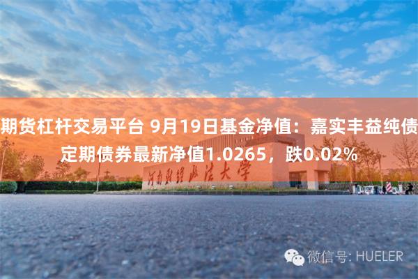 期货杠杆交易平台 9月19日基金净值：嘉实丰益纯债定期债券最新净值1.0265，跌0.02%