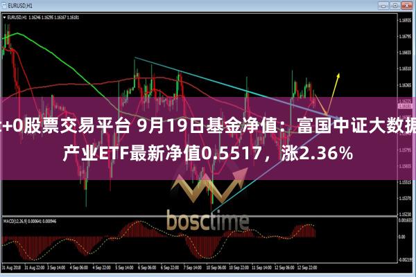 t+0股票交易平台 9月19日基金净值：富国中证大数据产业ETF最新净值0.5517，涨2.36%