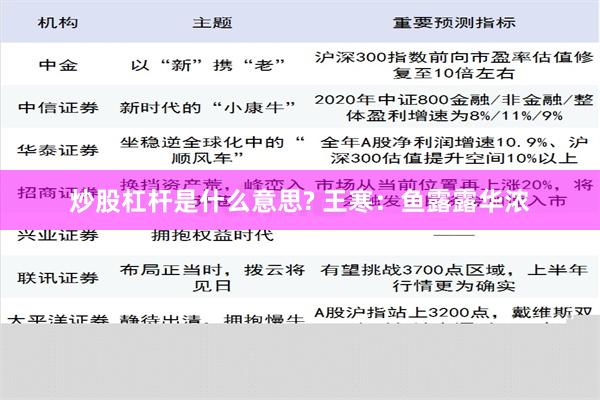 炒股杠杆是什么意思? 王寒：鱼露露华浓