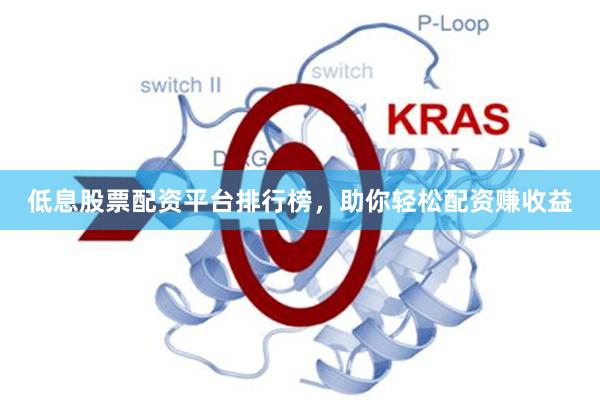 低息股票配资平台排行榜，助你轻松配资赚收益