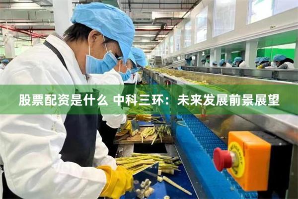 股票配资是什么 中科三环：未来发展前景展望
