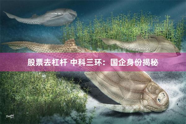 股票去杠杆 中科三环：国企身份揭秘