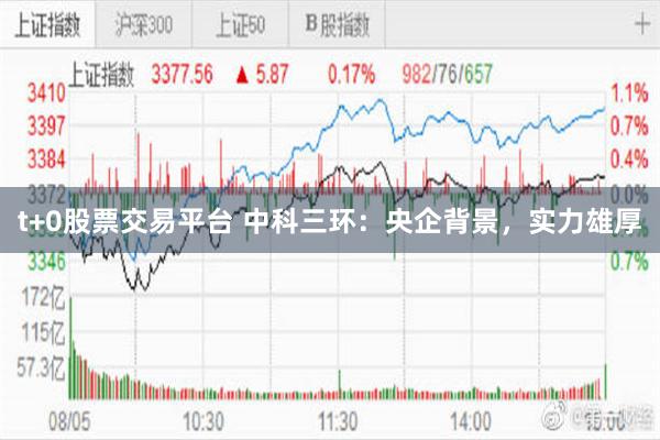 t+0股票交易平台 中科三环：央企背景，实力雄厚