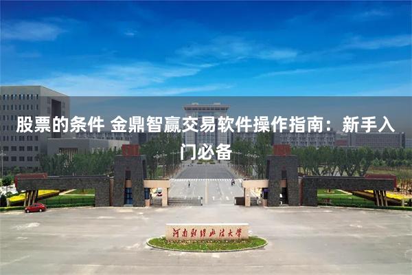 股票的条件 金鼎智赢交易软件操作指南：新手入门必备