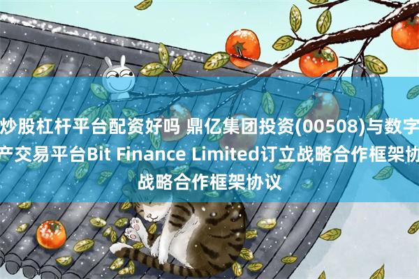 炒股杠杆平台配资好吗 鼎亿集团投资(00508)与数字资产交易平台Bit Finance Limited订立战略合作框架协议