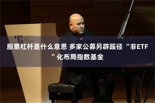 股票杠杆是什么意思 多家公募另辟蹊径 “非ETF”化布局指数基金