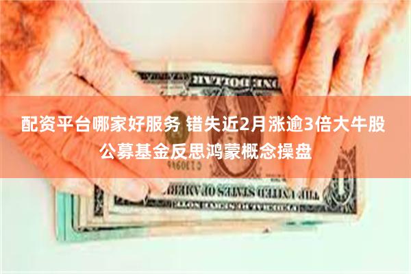 配资平台哪家好服务 错失近2月涨逾3倍大牛股 公募基金反思鸿蒙概念操盘