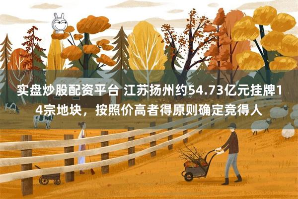 实盘炒股配资平台 江苏扬州约54.73亿元挂牌14宗地块，按照价高者得原则确定竞得人