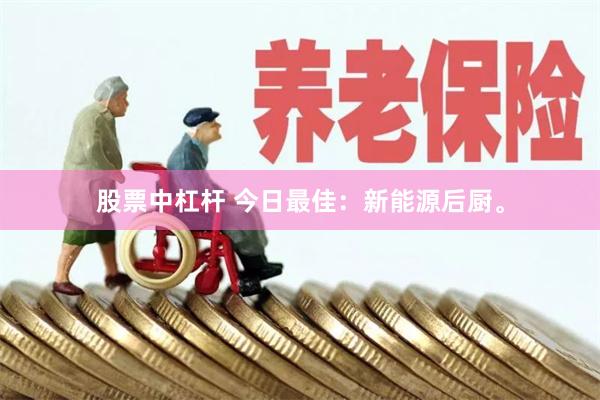 股票中杠杆 今日最佳：新能源后厨。