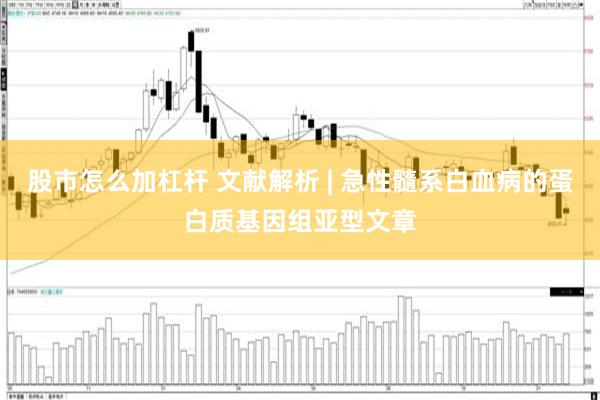 股市怎么加杠杆 文献解析 | 急性髓系白血病的蛋白质基因组亚型文章