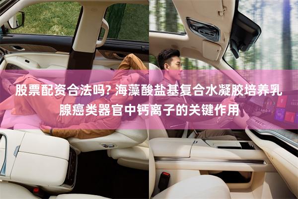 股票配资合法吗? 海藻酸盐基复合水凝胶培养乳腺癌类器官中钙离子的关键作用