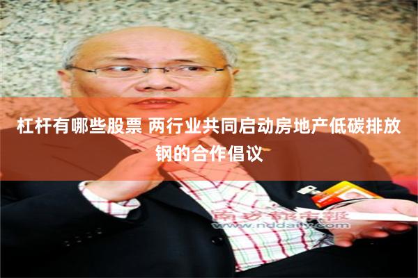 杠杆有哪些股票 两行业共同启动房地产低碳排放钢的合作倡议
