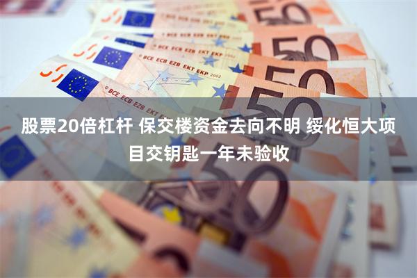 股票20倍杠杆 保交楼资金去向不明 绥化恒大项目交钥匙一年未验收