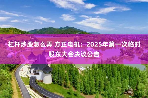 杠杆炒股怎么弄 方正电机：2025年第一次临时股东大会决议公告