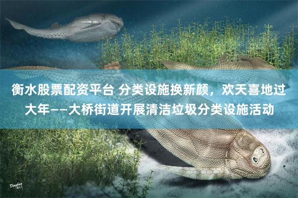 衡水股票配资平台 分类设施换新颜，欢天喜地过大年——大桥街道开展清洁垃圾分类设施活动