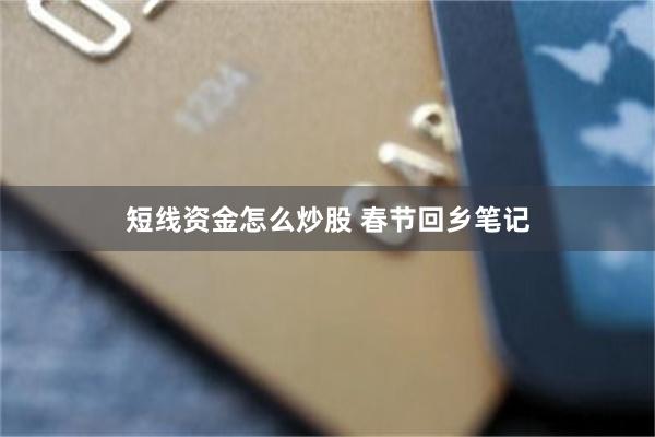 短线资金怎么炒股 春节回乡笔记