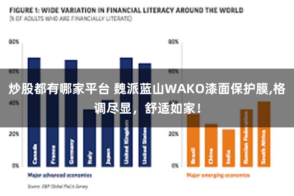 炒股都有哪家平台 魏派蓝山WAKO漆面保护膜,格调尽显，舒适如家！