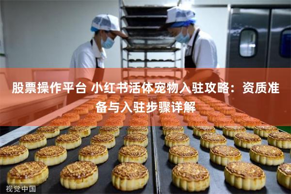 股票操作平台 小红书活体宠物入驻攻略：资质准备与入驻步骤详解