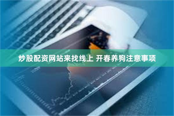 炒股配资网站来找线上 开春养狗注意事项