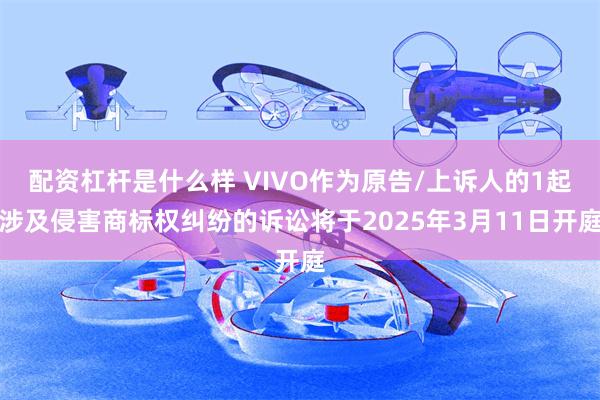 配资杠杆是什么样 VIVO作为原告/上诉人的1起涉及侵害商标权纠纷的诉讼将于2025年3月11日开庭