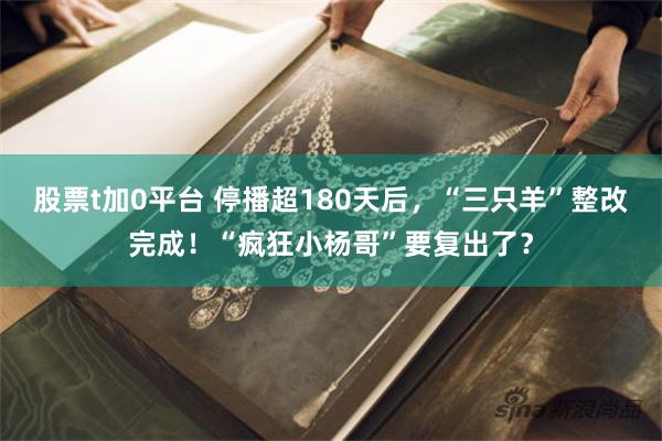 股票t加0平台 停播超180天后，“三只羊”整改完成！“疯狂小杨哥”要复出了？
