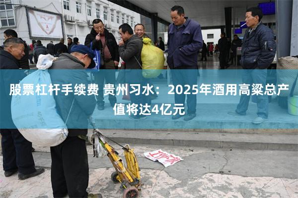 股票杠杆手续费 贵州习水：2025年酒用高粱总产值将达4亿元