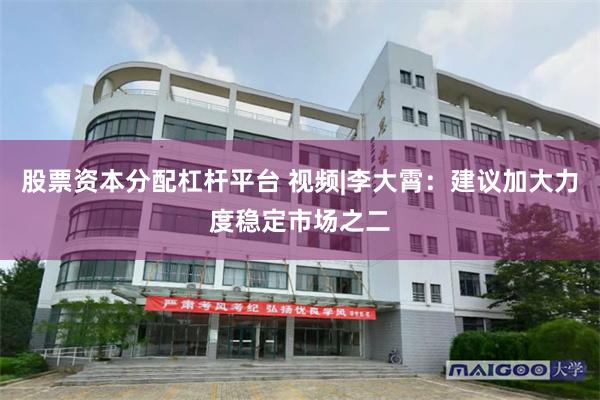 股票资本分配杠杆平台 视频|李大霄：建议加大力度稳定市场之二