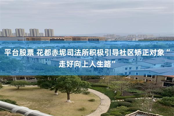 平台股票 花都赤坭司法所积极引导社区矫正对象“走好向上人生路”