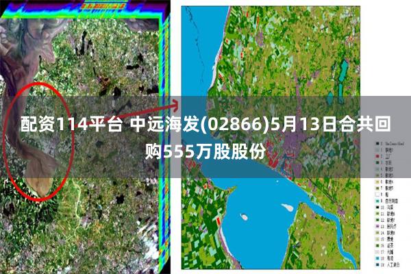 配资114平台 中远海发(02866)5月13日合共回购555万股股份