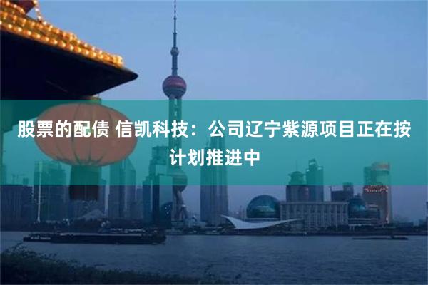 股票的配债 信凯科技：公司辽宁紫源项目正在按计划推进中