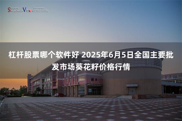 杠杆股票哪个软件好 2025年6月5日全国主要批发市场葵花籽价格行情