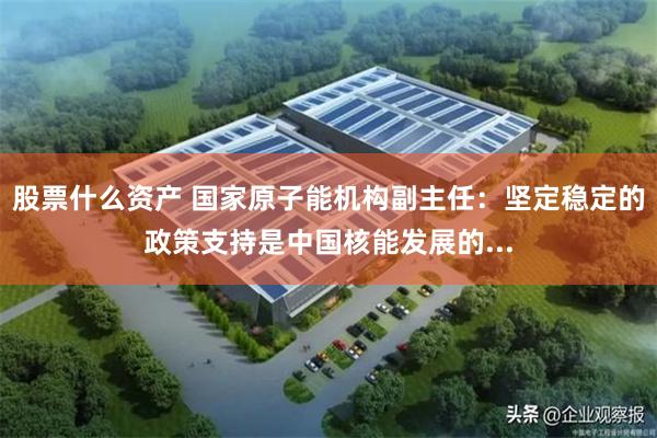 股票什么资产 国家原子能机构副主任：坚定稳定的政策支持是中国核能发展的...