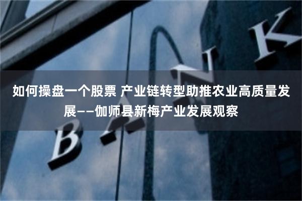 如何操盘一个股票 产业链转型助推农业高质量发展——伽师县新梅产业发展观察