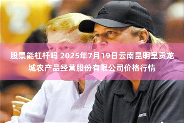 股票能杠杆吗 2025年7月19日云南昆明呈贡龙城农产品经营股份有限公司价格行情