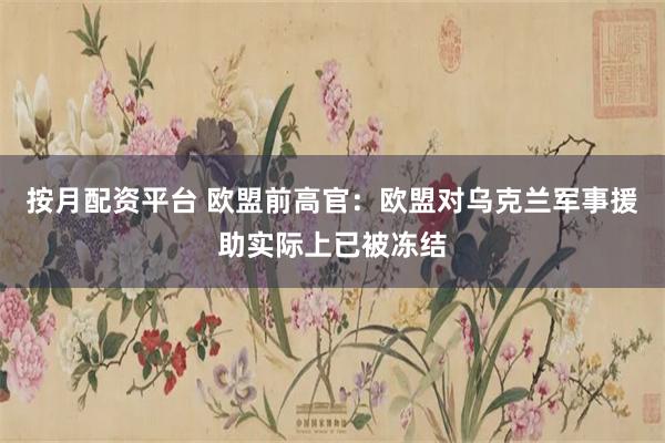 按月配资平台 欧盟前高官：欧盟对乌克兰军事援助实际上已被冻结