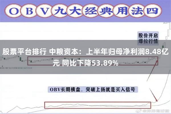 股票平台排行 中粮资本：上半年归母净利润8.48亿元 同比下降53.89%