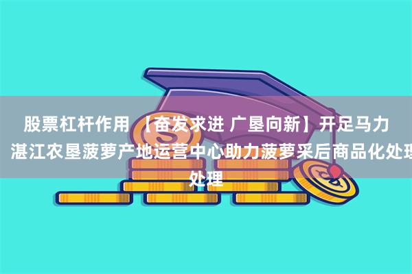 股票杠杆作用 【奋发求进 广垦向新】开足马力！湛江农垦菠萝产地运营中心助力菠萝采后商品化处理