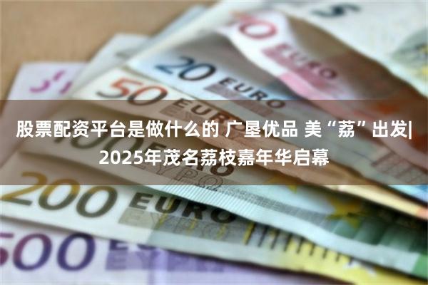 股票配资平台是做什么的 广垦优品 美“荔”出发|2025年茂名荔枝嘉年华启幕