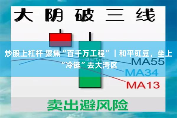 炒股上杠杆 聚焦“百千万工程”｜和平豇豆，坐上“冷链”去大湾区