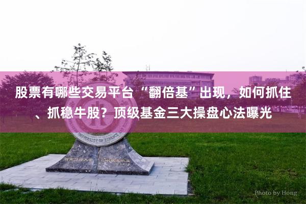 股票有哪些交易平台 “翻倍基”出现，如何抓住、抓稳牛股？顶级基金三大操盘心法曝光