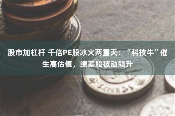 股市加杠杆 千倍PE股冰火两重天：“科技牛”催生高估值，绩差股被动飙升