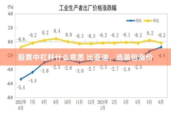 股票中杠杆什么意思 比亚迪，选装包涨价