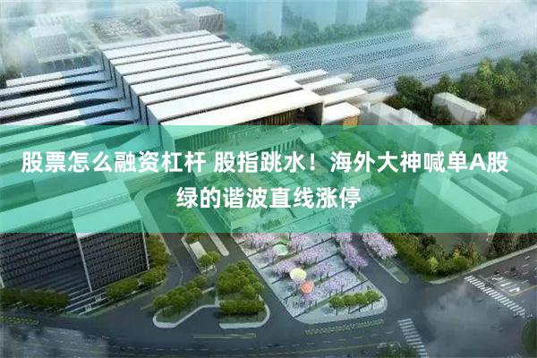 股票怎么融资杠杆 股指跳水！海外大神喊单A股 绿的谐波直线涨停